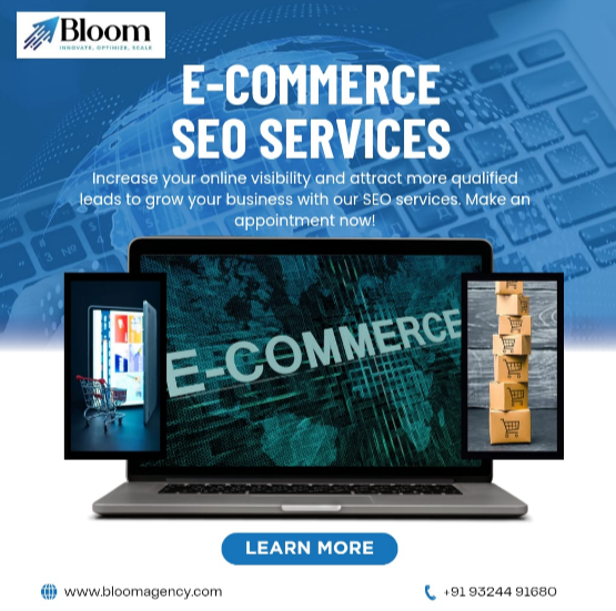 Ecommerce SEO service