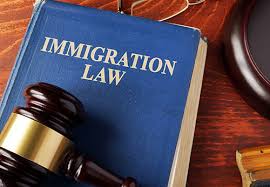 Immigration Habeas Lawyer