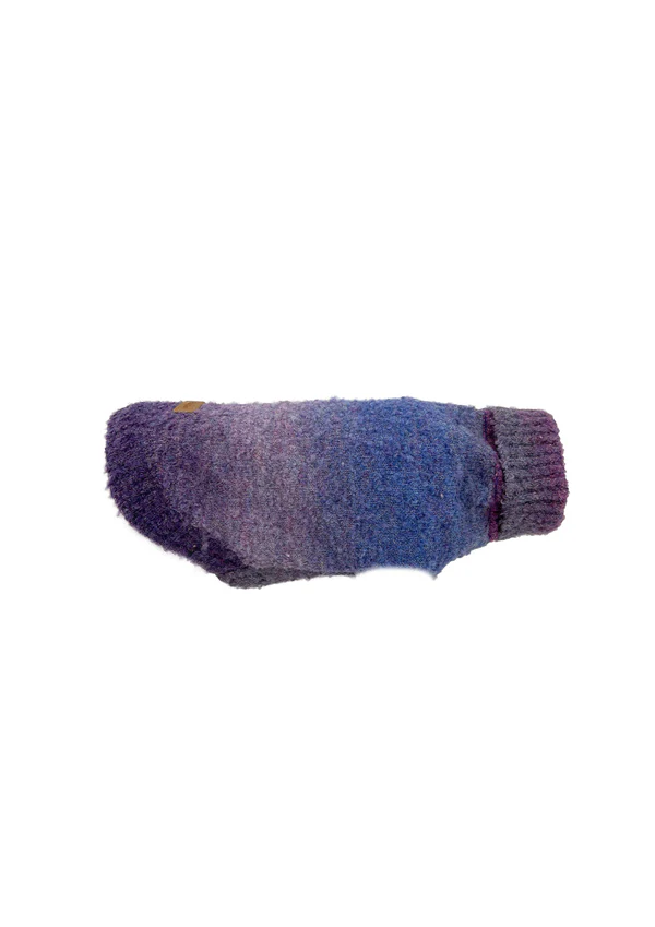  canine clothing 